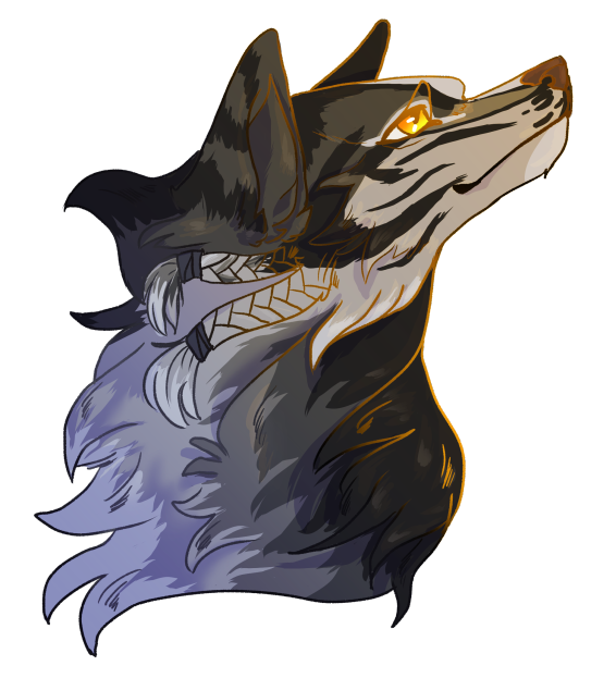 A headshot of Teolu; he's looking happily towards the top right and smiling. Golden light illuminates him